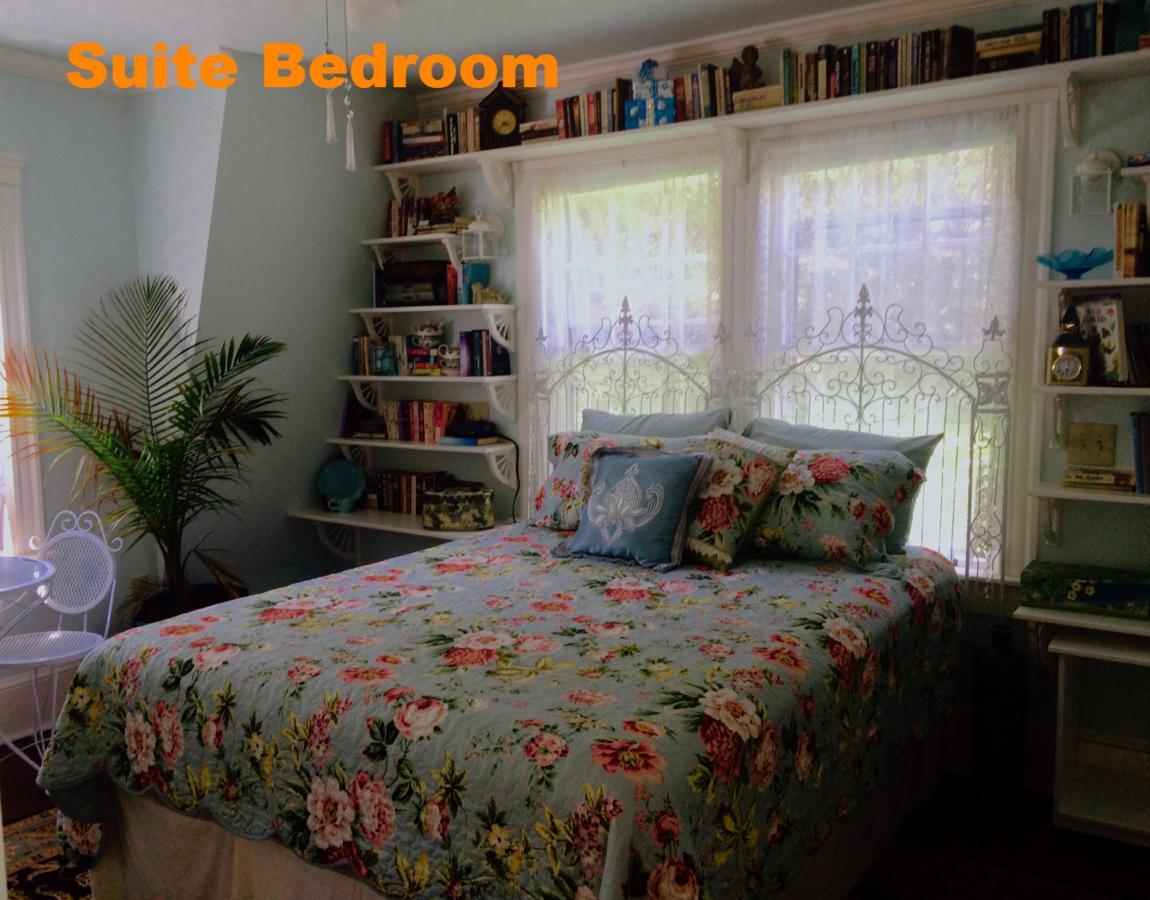Sheppard'S Campus B&B Kingston Dış mekan fotoğraf